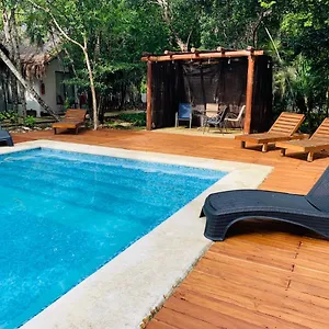 https://ecovergel-riviera-maya-spa.allrivieramayahotels.com