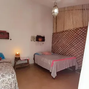 https://bacalar-camping-el-arbol-de-la-vida.quintano-roohotels.com